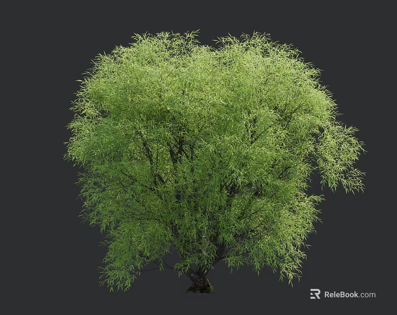 Lush Green Tree With Vibrant Foliage And Full Canopy In Natural Setting 3d model 