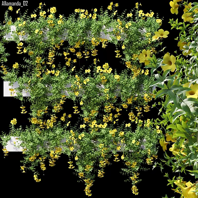 Vibrant Yellow Flowers And Lush Green Vines Growing Densely On Black Background 3d model