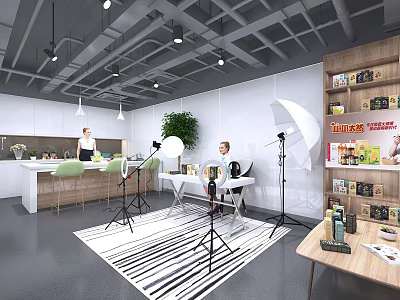 Modern Open Public Office Space With Workstations Green Plants Bookshelves Lighting And Striped Rug 3d model