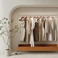 Stylish Clothes Hanging On Metal Rack With Wooden Drawer Green Plant And Light Arched Wall