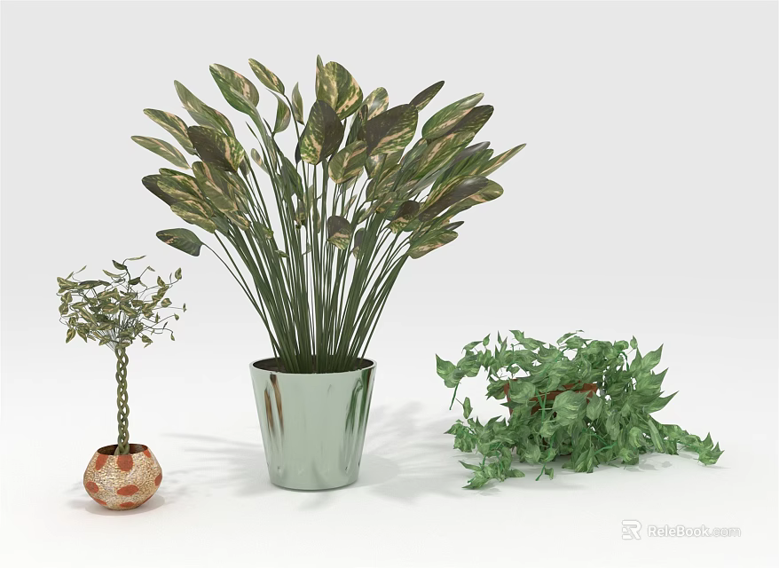 Assorted Potted Plants With Wide Leaves Small Tree And Green Vines 3d model 