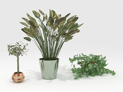 Assorted Potted Plants With Wide Leaves Small Tree And Green Vines 3d model