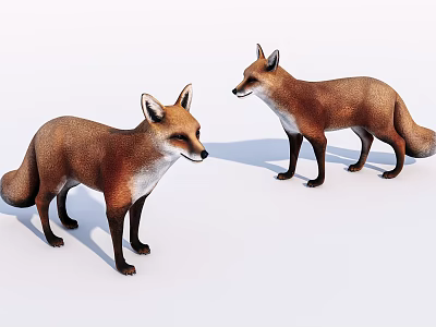 Two Reptiles Standing On White Background With Detailed Scales And Natural Poses 3d model