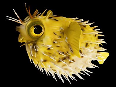 Yellow Spiny Pufferfish Close Up View With Large Eyes And Round Body 3d model