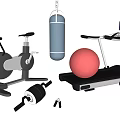 Essential Home Sports Equipment Including Stationary Bike Treadmill Punching Bag Exercise Ball And Dumbbells