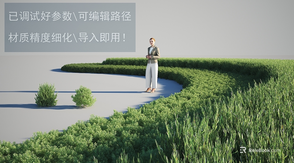 Well Trimmed Green Shrubs Surrounding Curved Path In Landscaped Area With Person Standing 3d model 