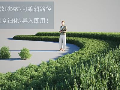 Well Trimmed Green Shrubs Surrounding Curved Path In Landscaped Area With Person Standing 3d model