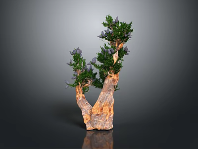 Decorative Indoor Plant With Forked Wooden Trunk Green Leaves And Purple Flowers 3d model