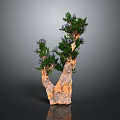 Decorative Indoor Plant With Forked Wooden Trunk Green Leaves And Purple Flowers