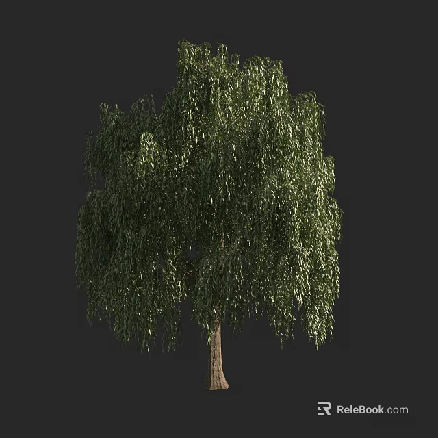 Lush Green Weeping Willow Arbor with Hanging Branches and Brown Trunk 3d model