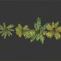 Four Palm Arbor Trees With Different Sizes And Green Foliage