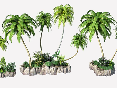 Tall Palm Trees With Lush Green Fronds And Rock Base Landscaping 3d model