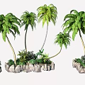 Tall Palm Trees With Lush Green Fronds And Rock Base Landscaping