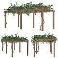 Wooden Pergola Structure With Green Vines Climbing Overhead For Outdoor Garden