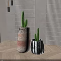 Cactus Bonsai Potted Plants with Brown Beige and Black White Striped Pots in Modern Interior