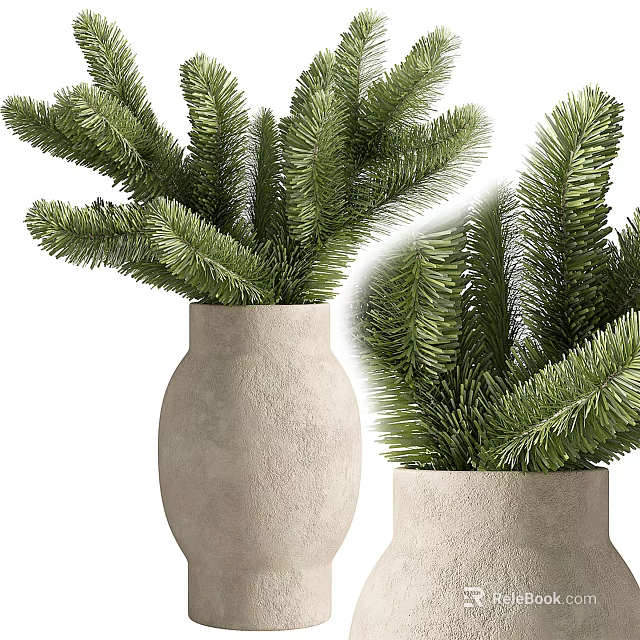 Two Evergreen Bonsai Plants in Rough Stone Pots with Lush Pine Foliage 3d model 