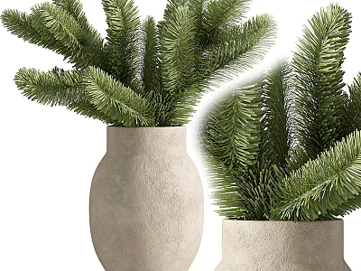 Two Evergreen Bonsai Plants in Rough Stone Pots with Lush Pine Foliage 3d model