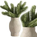 Two Evergreen Bonsai Plants in Rough Stone Pots with Lush Pine Foliage