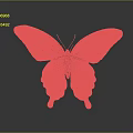 Detailed Dark Green Butterfly With White Spots Red Dots And Veined Wings On Gray Background