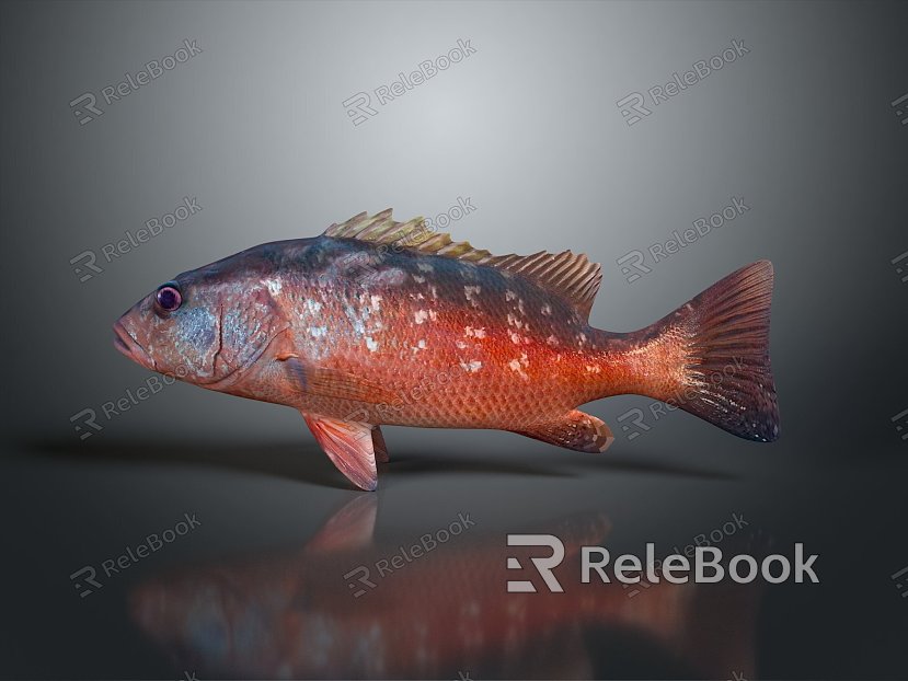 Catfish Carp Sturgeon Bass Freshwater Fish Various Carp Grass Carp Crucian Carp model