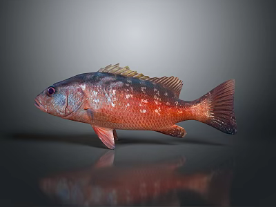 Glossy Red Fish Decorative Figurine Household Living Accessory With Gray Background And Reflection 3d model
