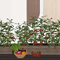 Vegetable Plant Combination In Wooden Planter Boxes With Ripe Tomatoes Leafy Greens And Colorful Basket