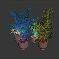Lush Potted Indoor Plants With Different Leaf Shapes In Light Brown Pots On Dark Surface