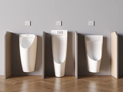 Modern Bathroom Urinals With Partition Installation On Grey Wall And Wooden Floor 3d model