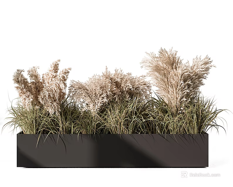 Black Rectangular Flower Planter With Green Herbaceous Plants And Feathery Plumes 3d model