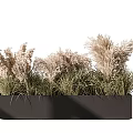 Black Rectangular Flower Planter With Green Herbaceous Plants And Feathery Plumes 3d model