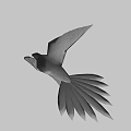 Game Movie Character Flying Black And White Bird With Unique Wing Patterns And Sunlight Glow
