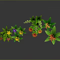 Colorful Flowers With Red Yellow Pink Orange Blooms Lush Green Leaves Against Gray Background Reflections