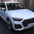 Audi SQ5 Audi Cars 3d model