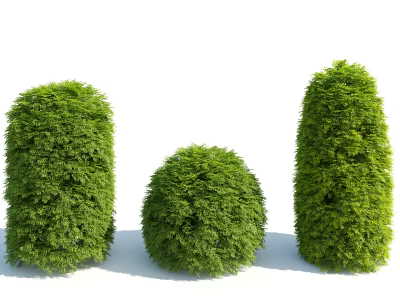 Neatly Trimmed Green Bushes With Different Shapes For Garden Landscaping 3d model