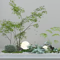 Indoor Mixed Plant Arrangement With Small Trees Ferns Pebbles And Round Decor