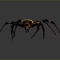 Detailed View Of Large Spider With Yellow Black Striped Body And Long Legs