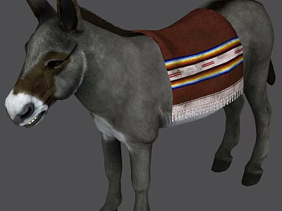 Gray Donkey Wearing Colorful Striped Blanket With Fringes On Back 3d model