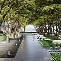Residential Landscape With Tree Lined Walkway Under Green Canopy Lush Greenery And Seating Area