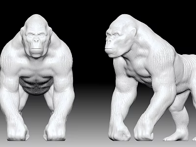 Detailed White Reptile 3D Sculpture Models Displaying Front And Side Profiles 3d model