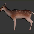 Pink Deer Figurine with White Spots Standing on Dark Background and Reflection