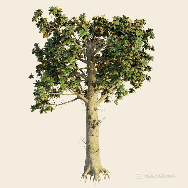Tall Mature Arbor Showcasing Lush Green Foliage And Straight Trunk 3d model 