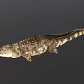 Reptile Crocodile 3D Model With Detailed Skin Texture On Gray Background