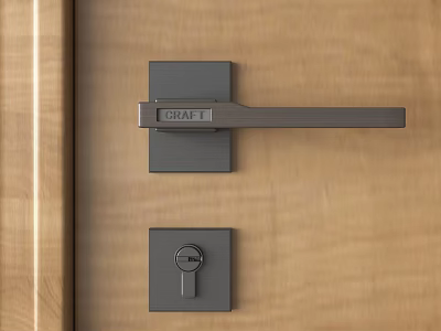 Craft Modern Sleek Door Handle On Wooden Door With Locking Panel 3d model