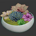 Succulent Plants in White Bowl with Purple Flowers Green Leaves and Lush Moss