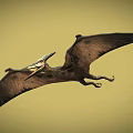 Flying Pterosaur With Outstretched Wings And Open Mouth In Yellow Sky