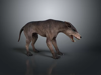 Fierce Prehistoric Wolf Like Creature 3D Model Standing With Open Mouth And Gray Reflective Ground 3d model
