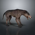 Fierce Prehistoric Wolf Like Creature 3D Model Standing With Open Mouth And Gray Reflective Ground