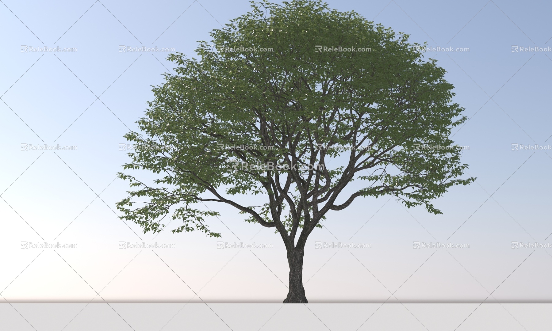 Landscape Arbor Tree 3d model