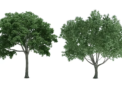 The Modern Tree 3d model