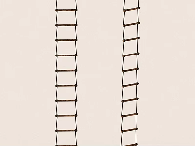 Two Vertical Wooden Ladders Hanging Against White Background With Rungs 3d model